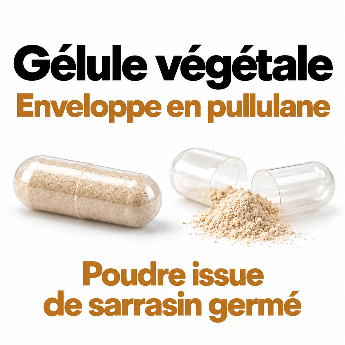 Complexe B NutriZoé : gélule végétale transparente en pullulane, contenant une poudre beige issue de sarrasin germé.