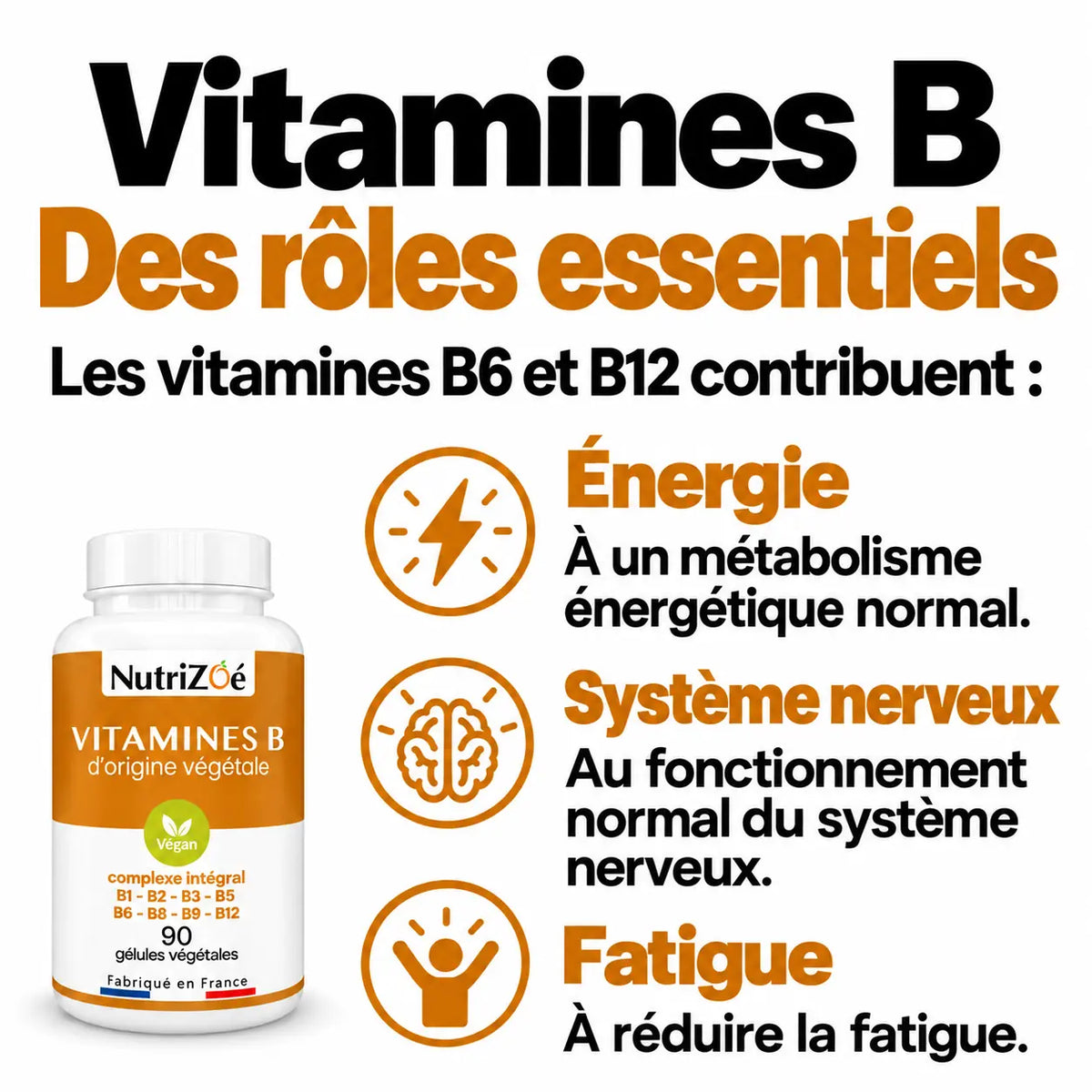 Complexe B NutriZoé : rôles des vitamines B6 et B12 dans l’énergie, le système nerveux et la réduction de la fatigue.