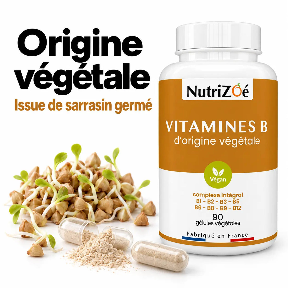 Complexe de vitamines B d’origine végétale issu de sarrasin germé, avec gélule transparente et poudre beige.