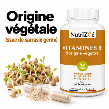 Complexe de vitamines B d’origine végétale issu de sarrasin germé, avec gélule transparente et poudre beige.