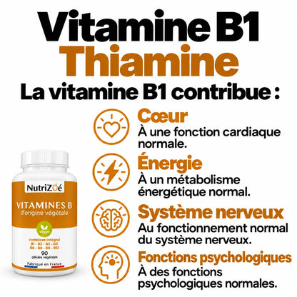 Complexe B NutriZoé : vitamine B1, fonctions cardiaque, énergétique, nerveuse et psychologique normales.