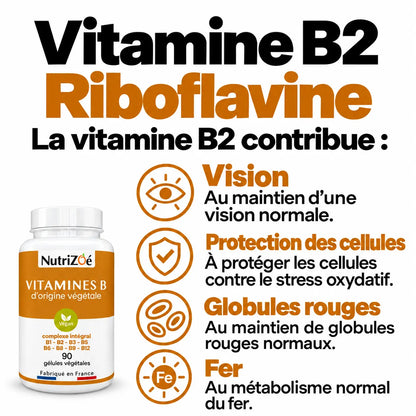 Complexe B NutriZoé : vitamine B2, vision, globules rouges, métabolisme du fer et protection des cellules.