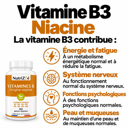 Complexe B NutriZoé : vitamine B3, énergie, fatigue, système nerveux, fonctions psychologiques, peau et muqueuses.