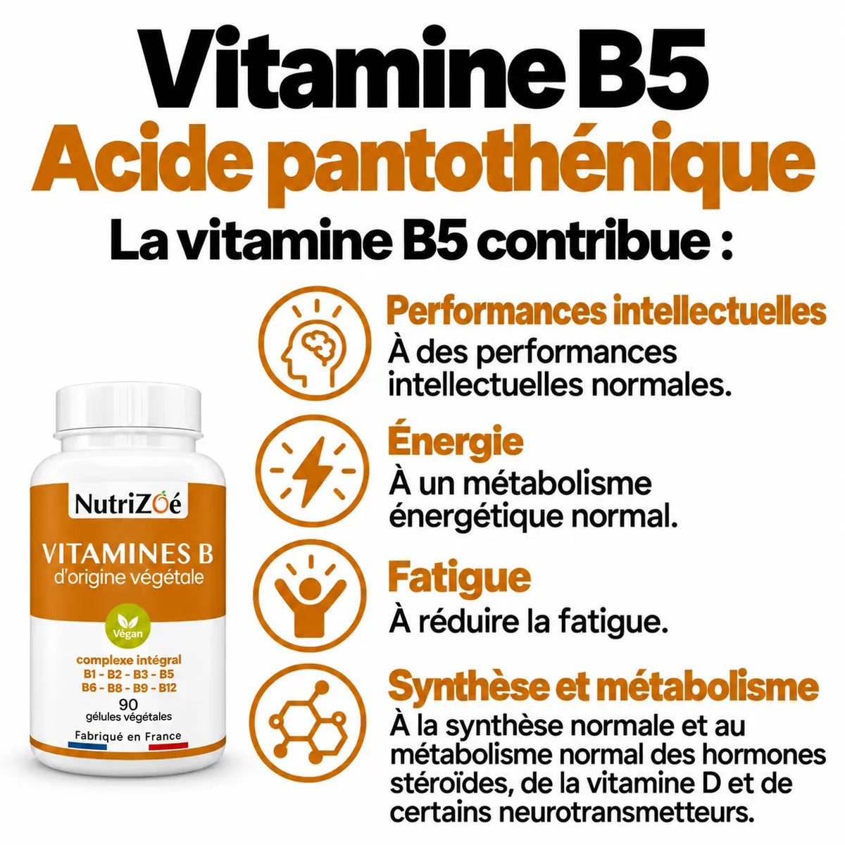 Complexe B NutriZoé : vitamine B5, performances intellectuelles, énergie, fatigue, synthèse et métabolisme.
