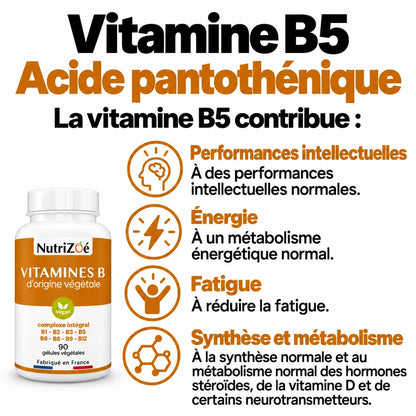 Complexe B NutriZoé : vitamine B5, performances intellectuelles, énergie, fatigue, synthèse et métabolisme.