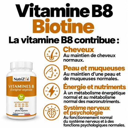Complexe B NutriZoé : vitamine B8, cheveux, peau, muqueuses, énergie, macronutriments et fonctions nerveuses et psychologiques.