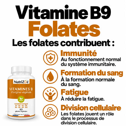Complexe B NutriZoé : vitamine B9, immunité, formation du sang, fatigue et division cellulaire.