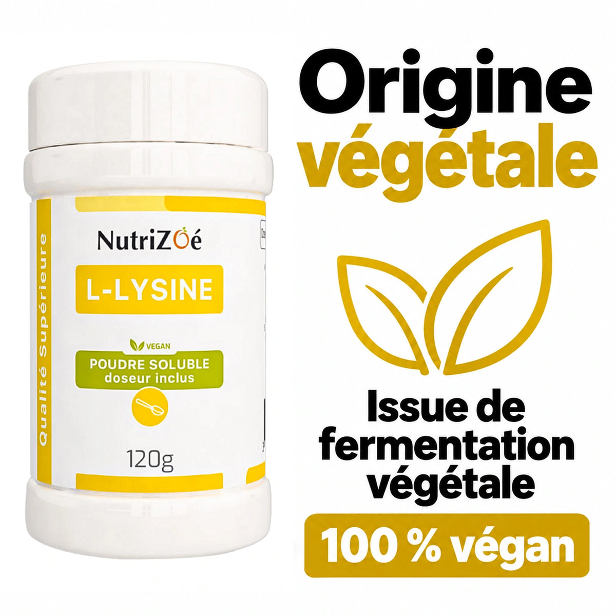 NutriZoé L-lysine powder. Plant-based origin and vegan composition.