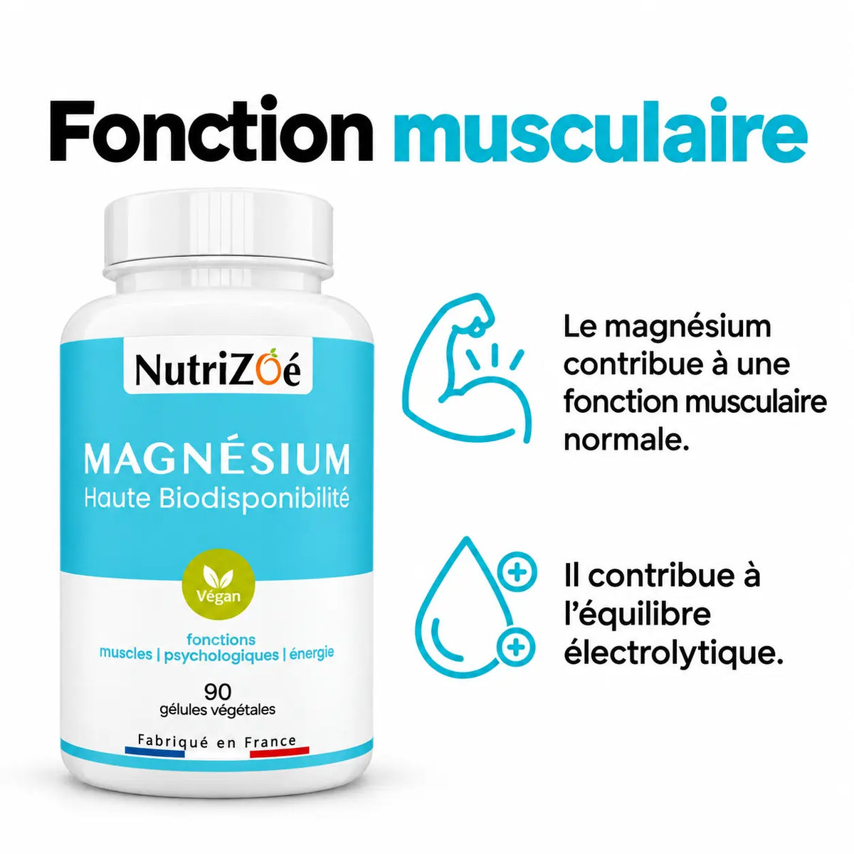 Le magnésium contribue à une fonction musculaire normale et à l’équilibre électrolytique.