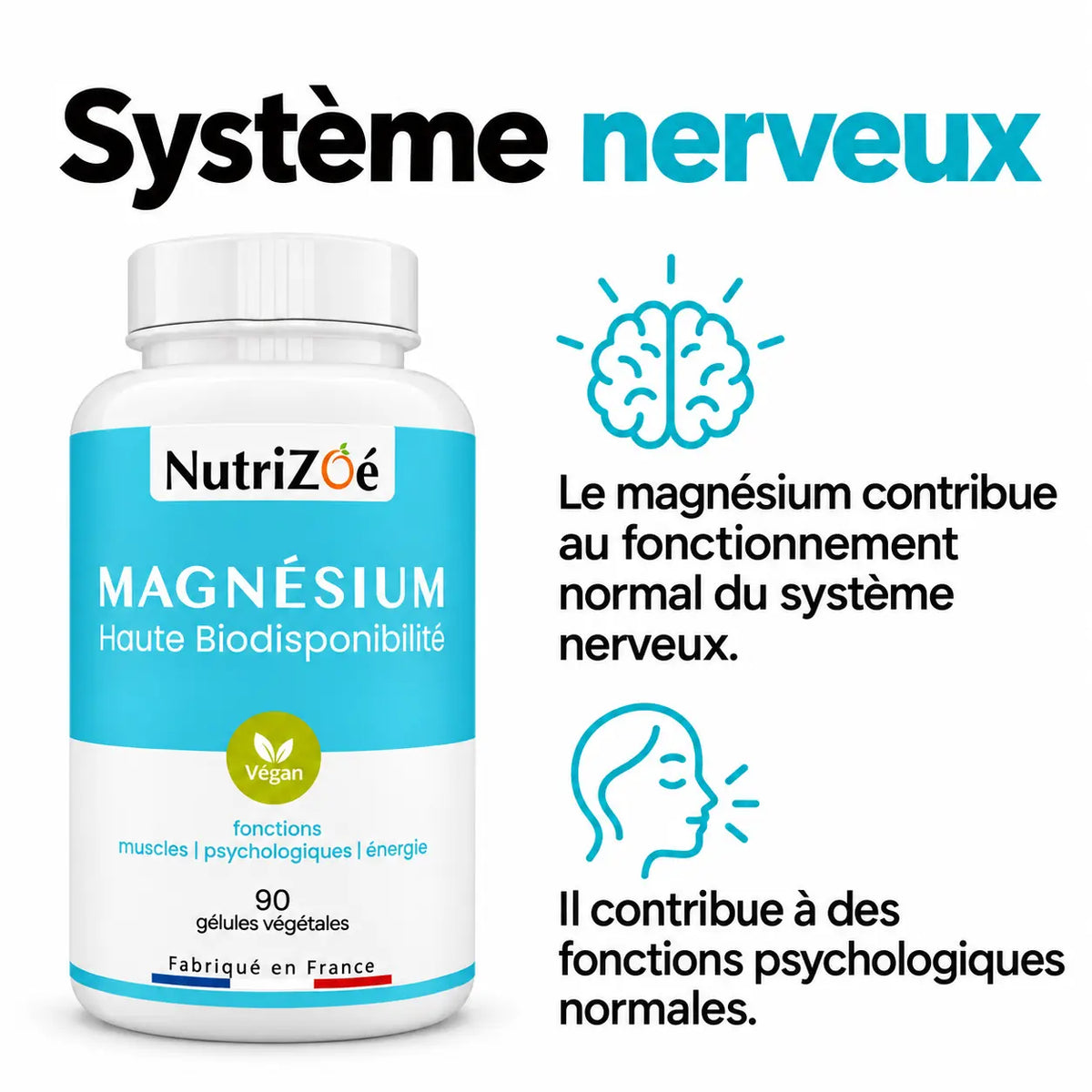 Le magnésium contribue au fonctionnement normal du système nerveux et à des fonctions psychologiques normales.