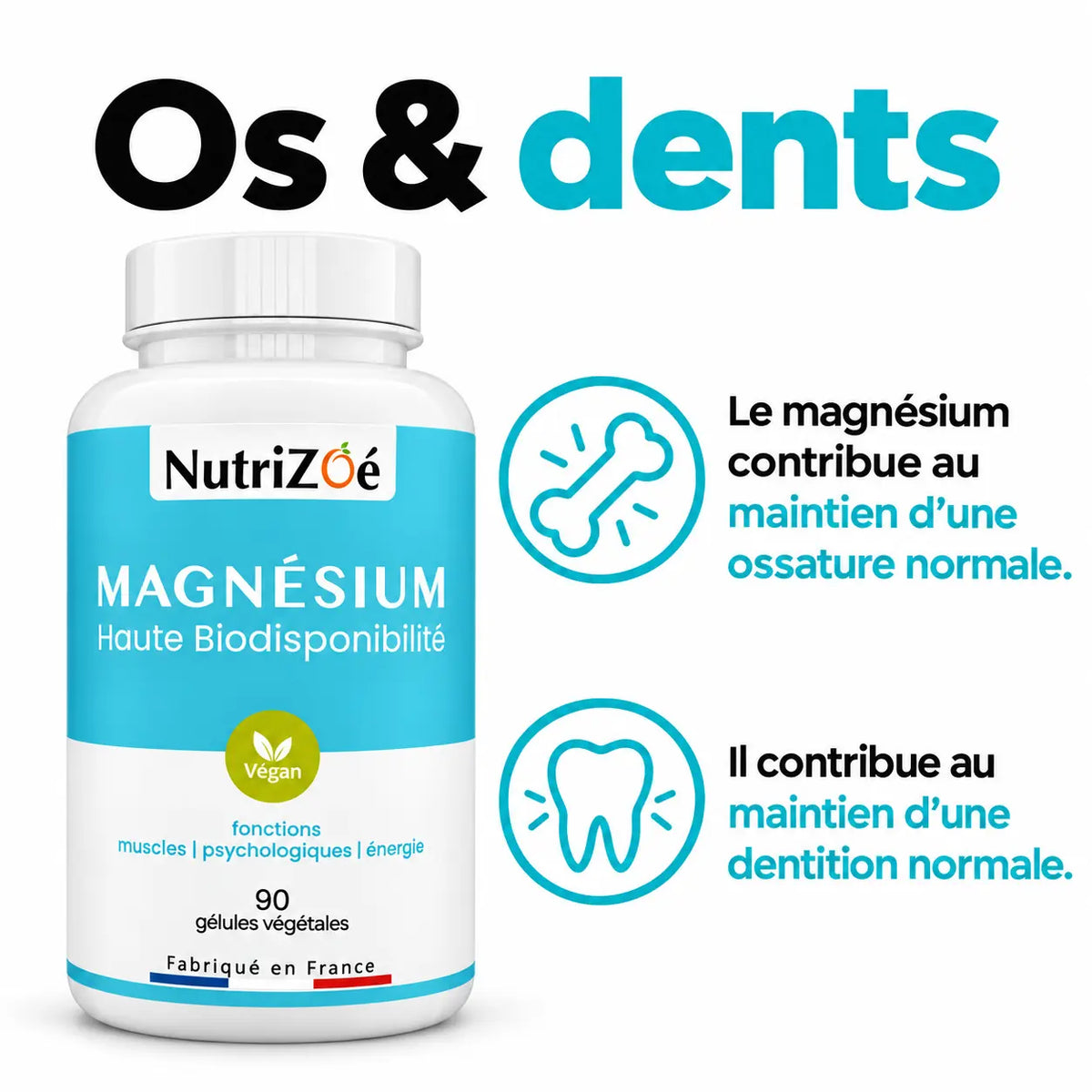 Le magnésium contribue au maintien d’une ossature et d’une dentition normales.