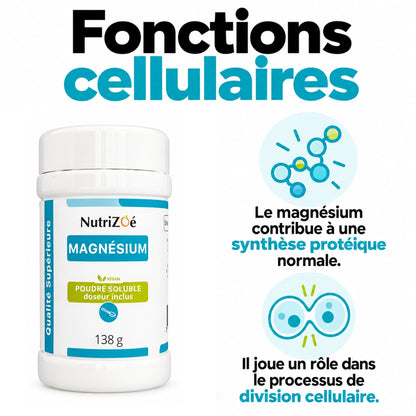Magnesium contributes to normal protein synthesis. Magnesium has a role in the process of cell division.