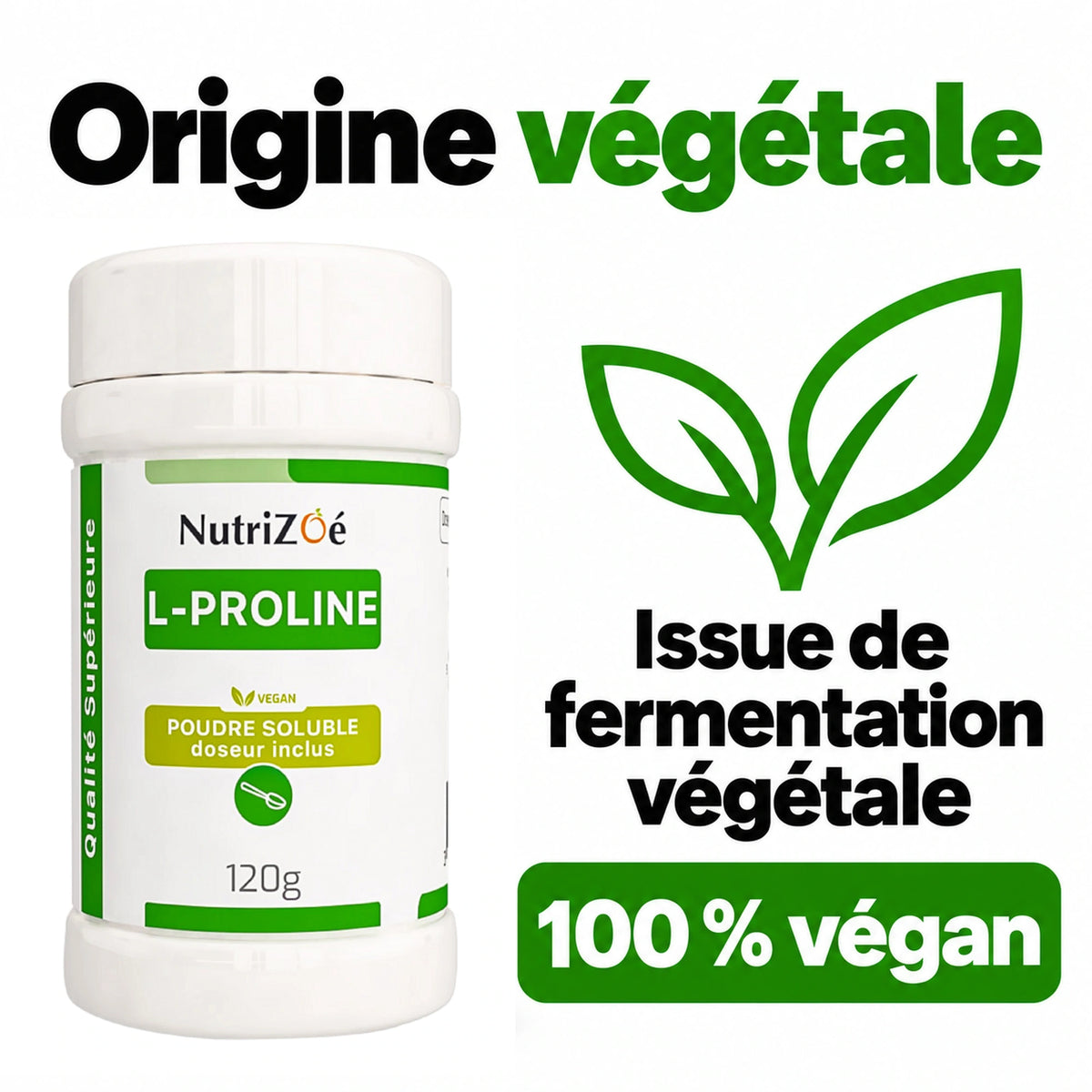 NutriZoé L-proline powder. Plant-based origin and vegan composition.