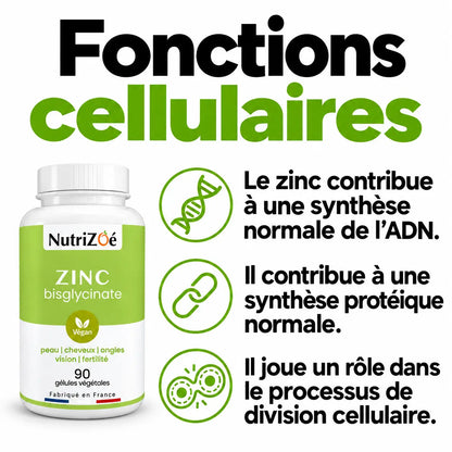 Zinc contributes to normal DNA synthesis and to normal protein synthesis, and has a role in the process of cell division.