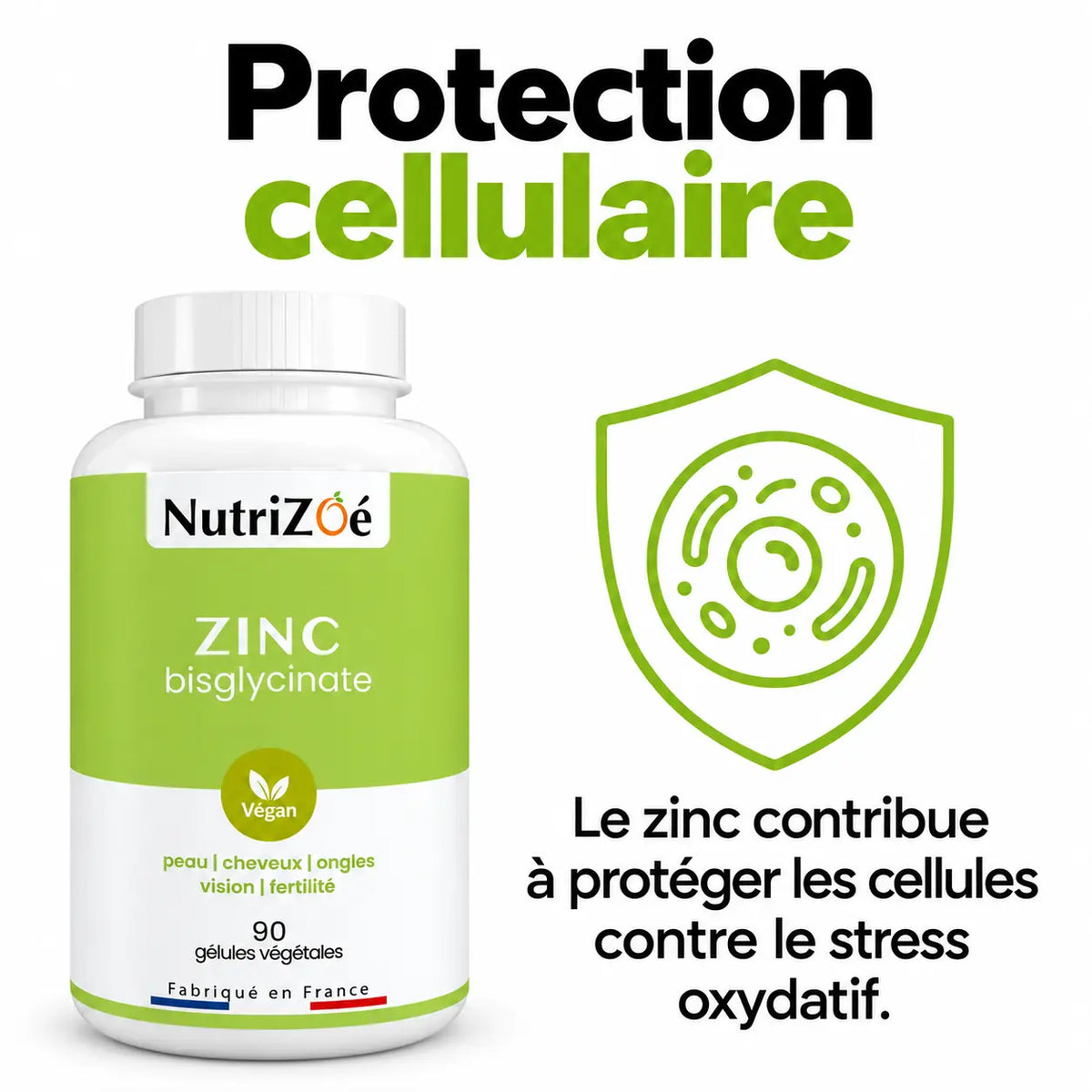 Zinc contributes to the protection of cells from oxidative stress.